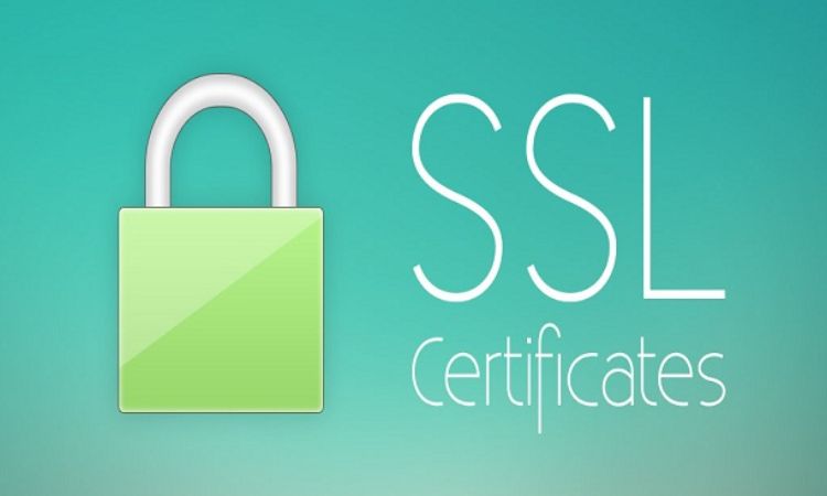 HTTPS, SSL and Important Security Elements on Betting Websites Explained