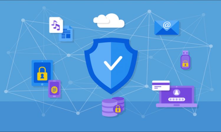 HTTPS, SSL and Important Security Elements on Betting Websites Explained
